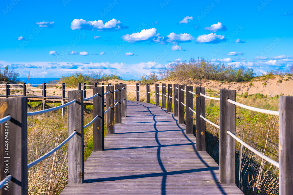 Wooden footbridge leading to fangar beach in ebro delta natural park