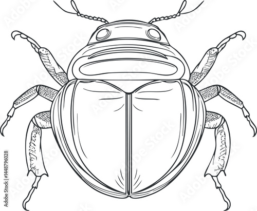 Detailed black and white line art illustration of a beetle insect with visible legs and antennae