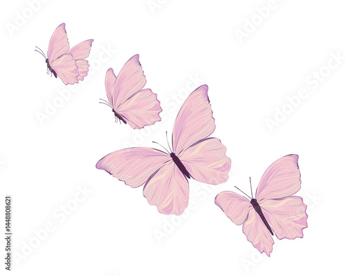 pink butterfly marcus tanr.eps