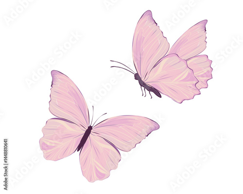 pink butterfly marcus.eps