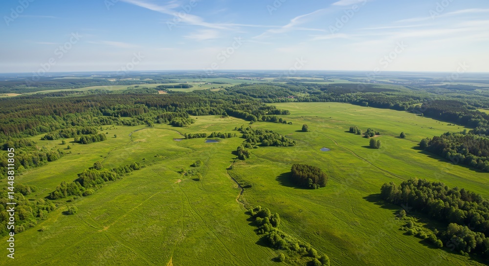 Obraz premium Serene Aerial Landscape: Lush Green Meadows and Forests