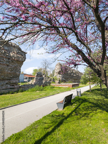 Obraz na płótnie Roman fortifications in town of Hisarya, Bulgaria w salonie