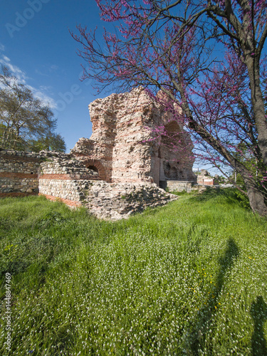 Obraz na płótnie Roman fortifications in town of Hisarya, Bulgaria w salonie