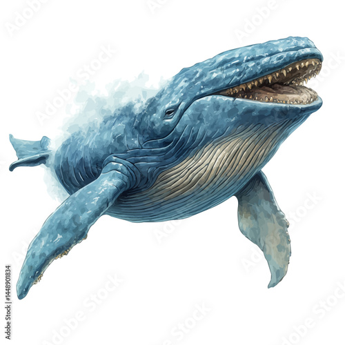 watercolor of Blue Whale Spouting, vector, isolated on a white background.