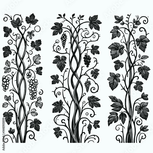 Set of silhouettes vine branches leaves. Grapes vineyard, grapevine black and white illustration. Wine labels design, branding Borders hand drawn decorative vines and berries. Elegant botanical motifs