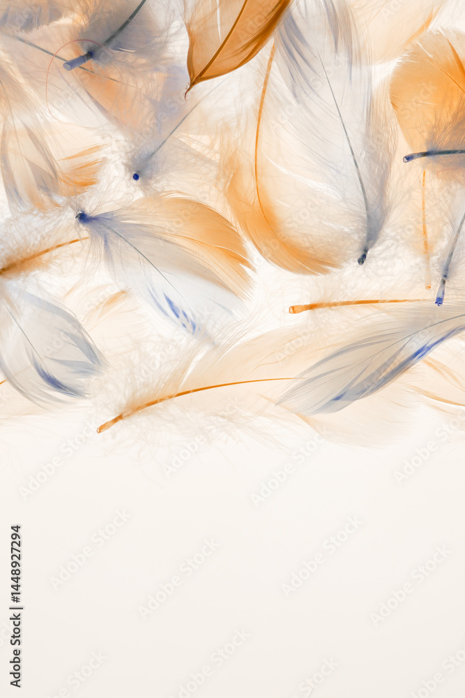 Fototapeta premium Feather Pattern in Soft Colors. Abstract Composition of Colorful Feathers. Feathers surface. 