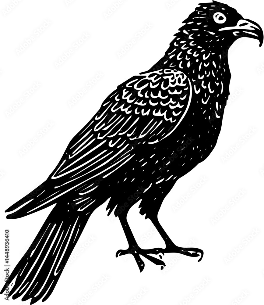 Obraz premium bird on a white background