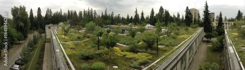 Wallpaper Mural Extensive green roof system with varied plant life and textures - flowering foliage buds Torontodigital.ca