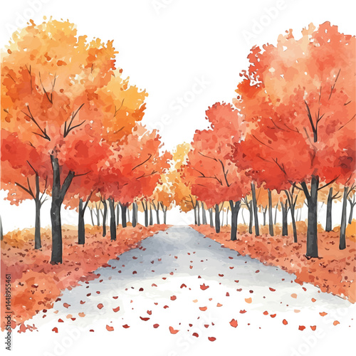 Autumn Forest Path With Fallen Leaves, watercolor vector, isolated on a white background.