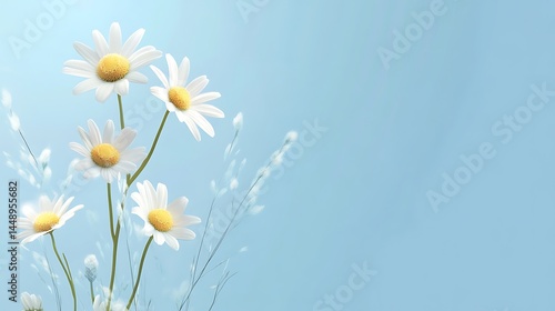 Elegant chamomile daisy flowers in flat lay design on peaceful blue background generative ai