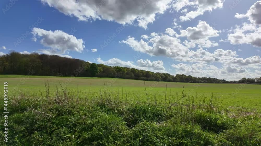 Whitchurch Hampshire England UK. 30.04.2025. Video. New crops appearing on farmland close to Whitchurch Hampshire UK. Whitchurch Hampshire England UK. 30.04.2025. Video. New crops appearing on farmland close to Whitchurch Hampshire UK.
