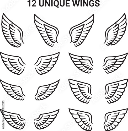 Bird Wings line art icon bundle isolated illustration