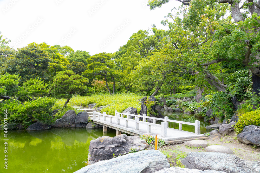 Fototapeta premium 初夏の清澄庭園