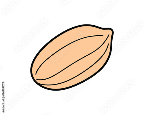 Peanut kernel isolated on white background healthy food