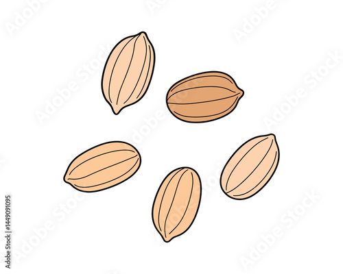 Peanut kernels isolated on white background nutrition