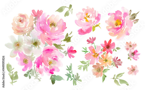 Wallpaper Mural Watercolor Abstract Pink roses, peonies, Wildflowers, and Leaves PNG clipart Set / Hand-Painted Floral illustration collection with transparent background for Spring and summer. Torontodigital.ca
