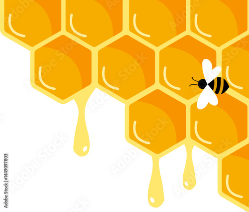 HoneyComb with Bee Corner