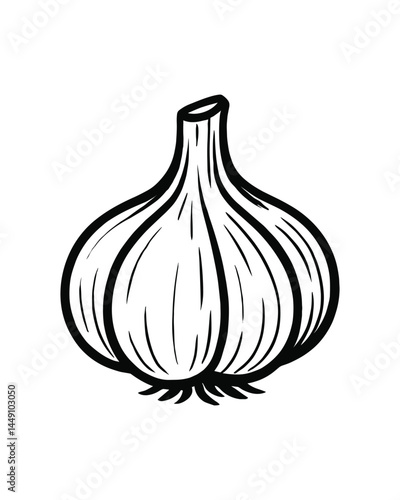 Hand Drawn Garlic Illustration Fresh Vegetable Cooking