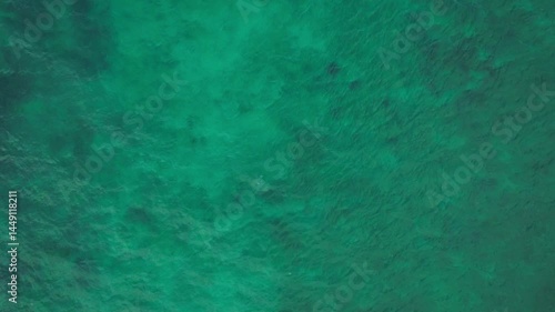 Wallpaper Mural Aerial fly above blue clean Caribbean sea water in slow motion Torontodigital.ca