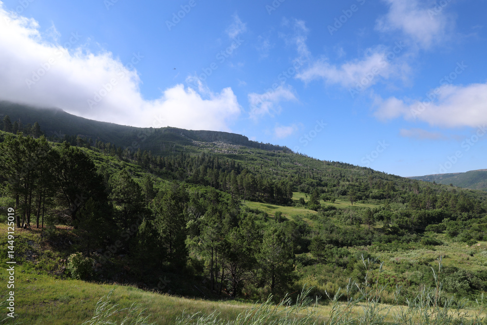 Naklejka premium Visit Colfax County New Mexico.