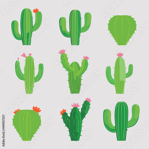 Set Cactus Vectors