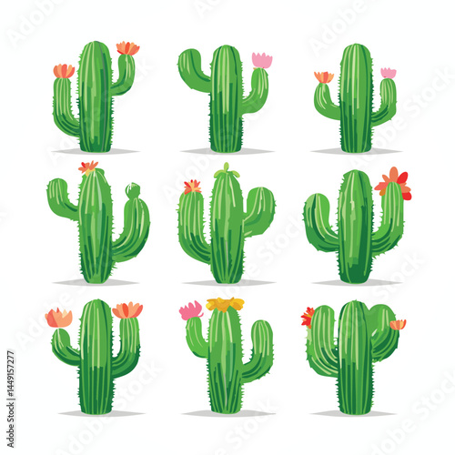 Set Cactus Vectors