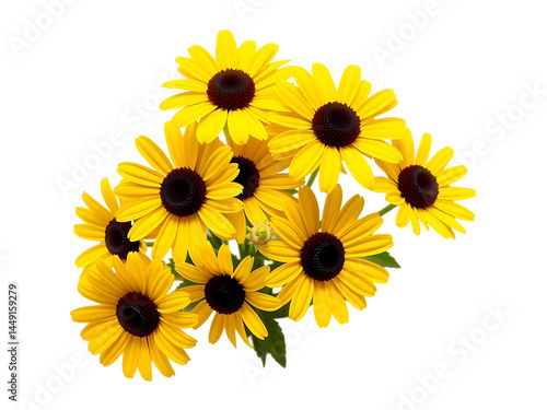 Vibrant Yellow Black Eyed Susan Flowers Bouquet on a transparent background