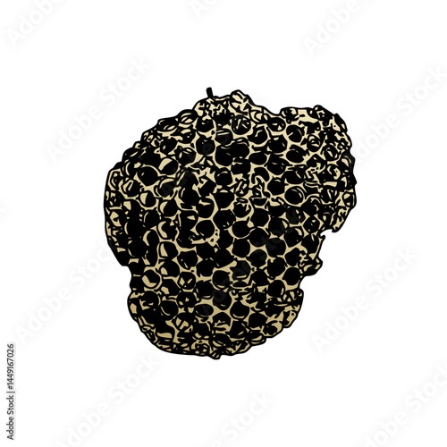 The work of bees and the collection of honey. The bees are actively filling up with honey.