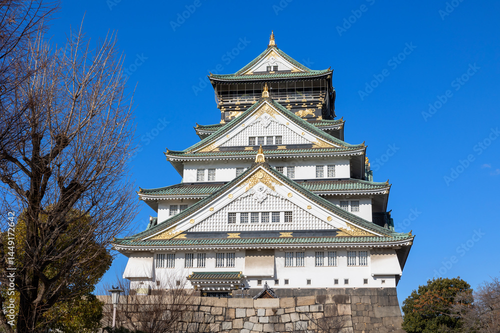 Fototapeta premium 大阪城