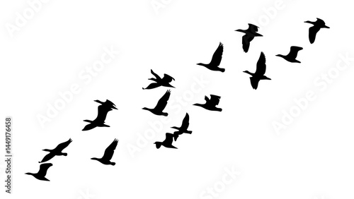 Birds flying in formation silhouette vector illustration migratory birds black and white graphic design 100