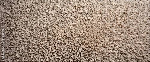 Wallpaper Mural close up view of a beige carpet Torontodigital.ca