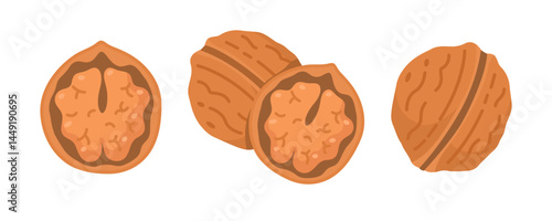 Freshly cracked walnuts on a white background