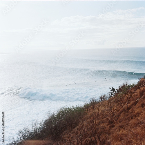 Ocean landscape in Hawaii