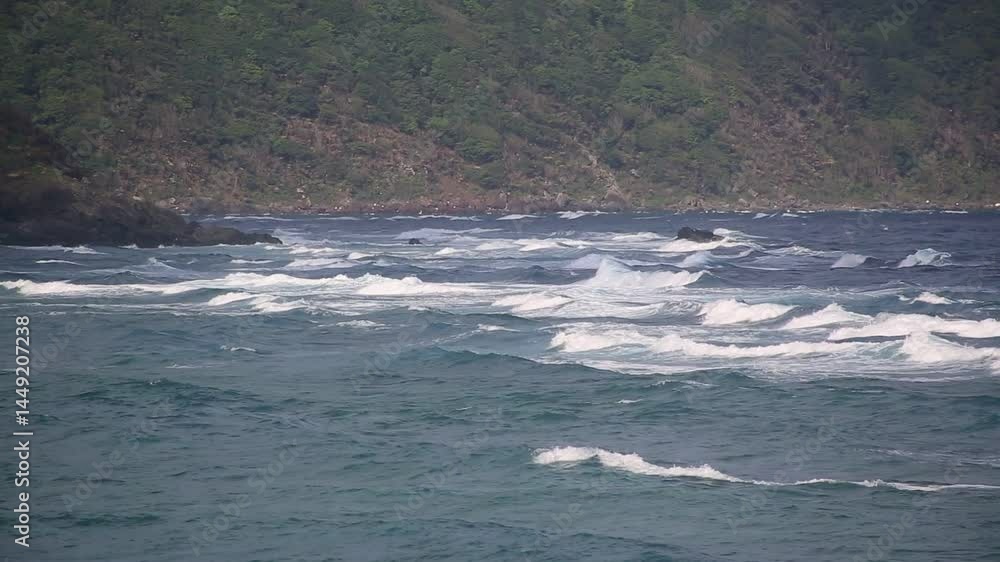 奄美大島の自然、海。 奄美大島の自然、海。