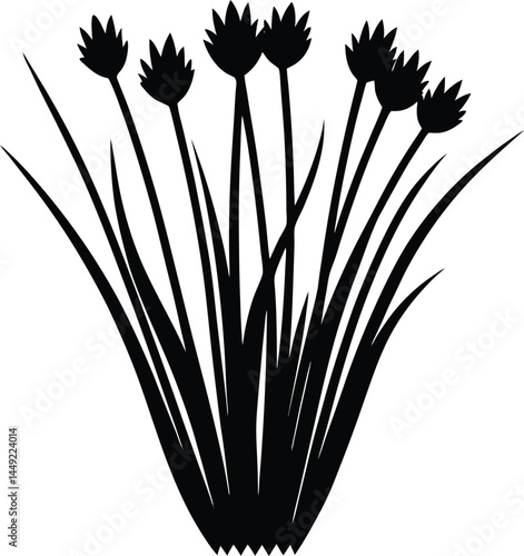 chives herb silhouette vector illustration 
