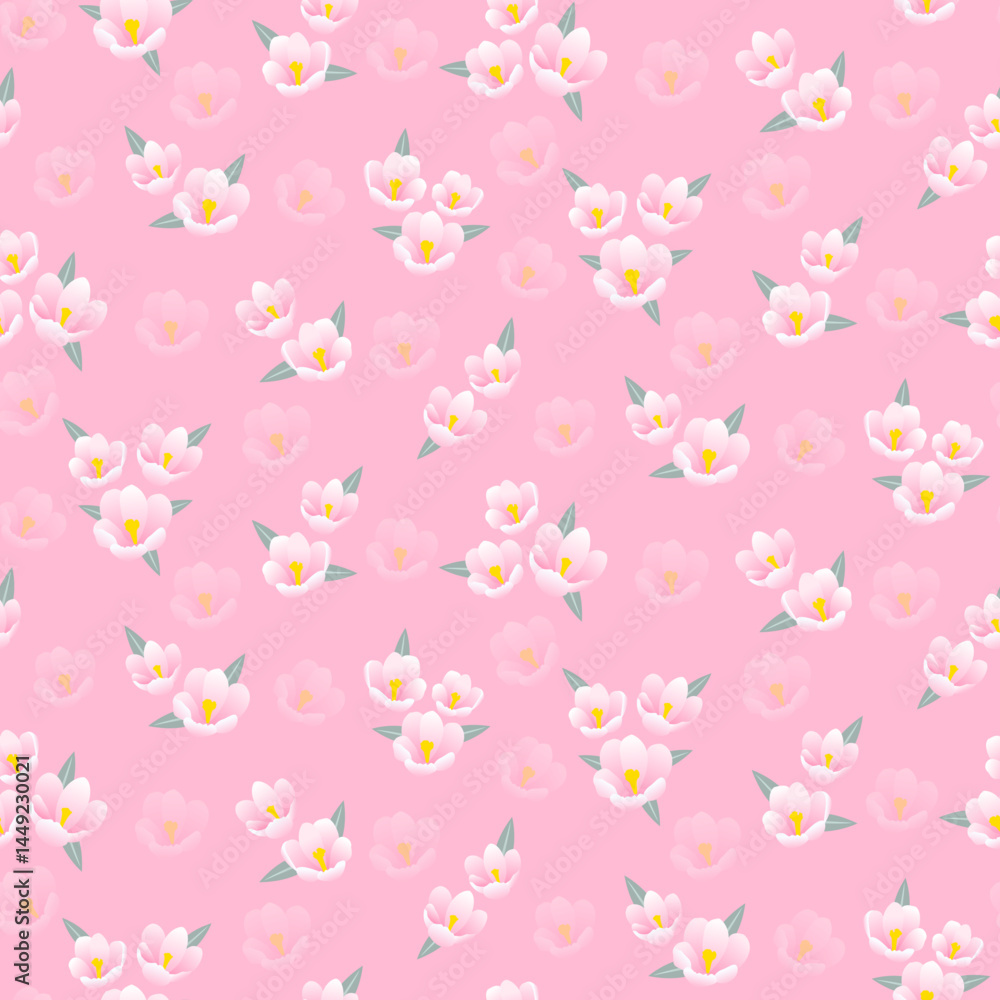 Seamless pattern of Crocus albiflorus flowers. Pink floral print Seamless pattern of Crocus albiflorus flowers. Pink floral print