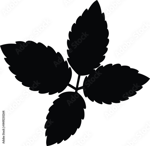 mint leaves silhouette vector illustration 