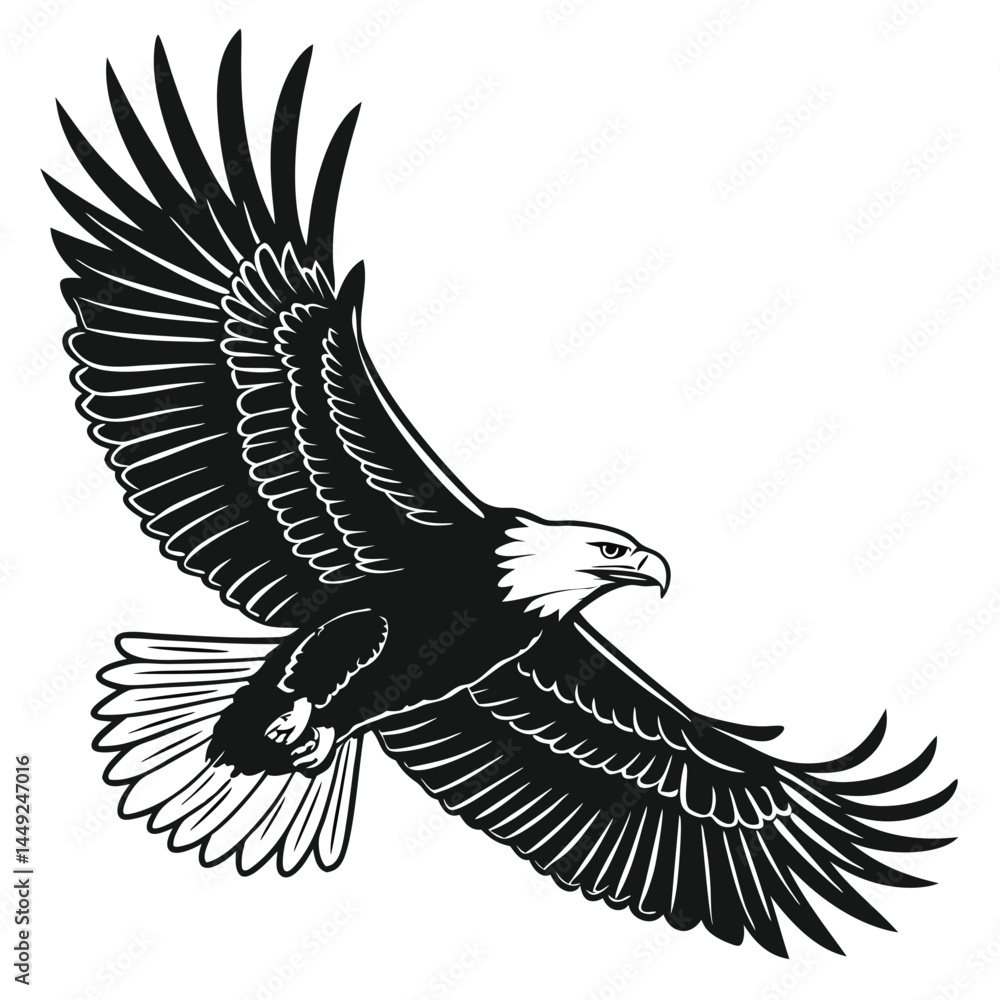 Obraz premium bald eagle in flight