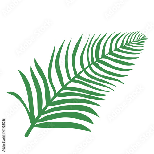 Palm Leaf
