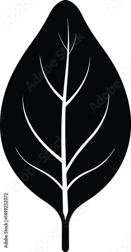 spinach leaf silhouette vector on white background 