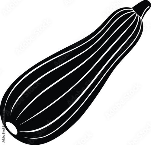 zucchini silhouette vector on white background 