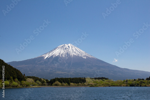 春・5月頃の田貫湖の富士山２
