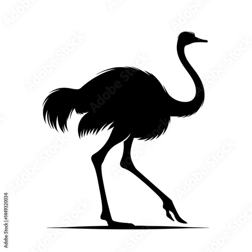 Ostrich walking silhouette