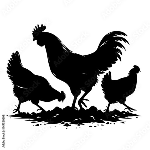 Chickens and rooster feeding silhouette