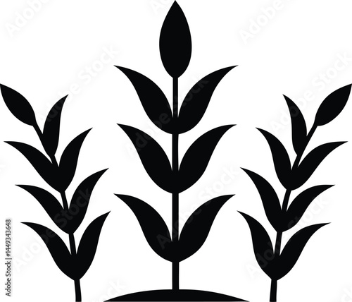 Three black wheat stalks grow upwards, conveying abundance and agricultural simplicity in design