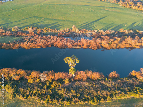 Inland river lined with trees cover in golden leaves 