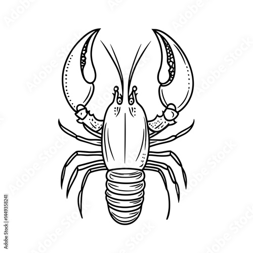 Spiny Lobster Illustration in Black and White  