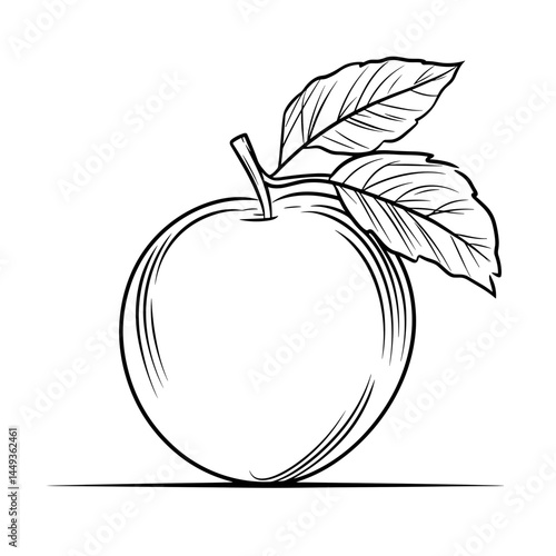 Simple Line Drawing of a Peach with Leaves  