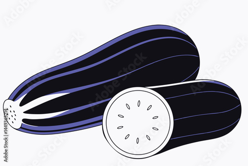 Zucchini Vegetable Vector Illustration Isolated on White Background