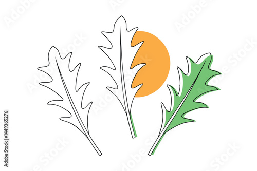 Arugula Vector Illustration Isolated on White Background

